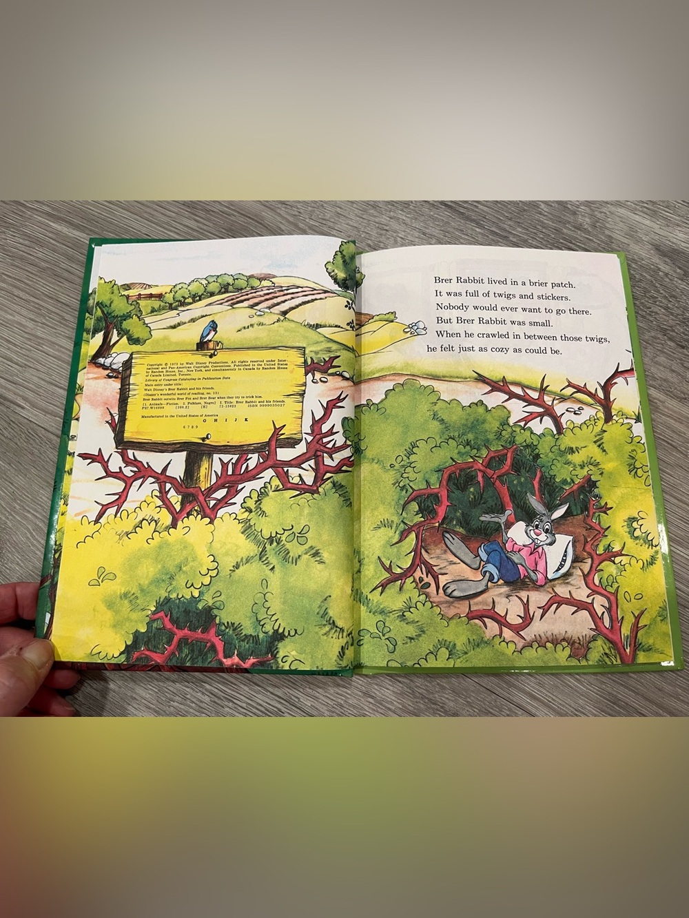 Disney Brer Rabbit Books - Picture 6 of 9